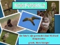 ROOFVOGELS