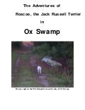 Roscoe's ox swamp adventure