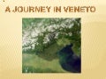 Catania&rsquo;s virtual trip to Rovigo