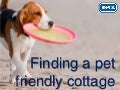 RSPCA - Finding a Pet Friendly Cottage