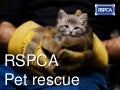 RSPCA - Pet rescue