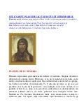 Rugaciuni - Plansurile Sf. Efrem Sirul