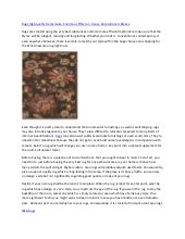 Rugs