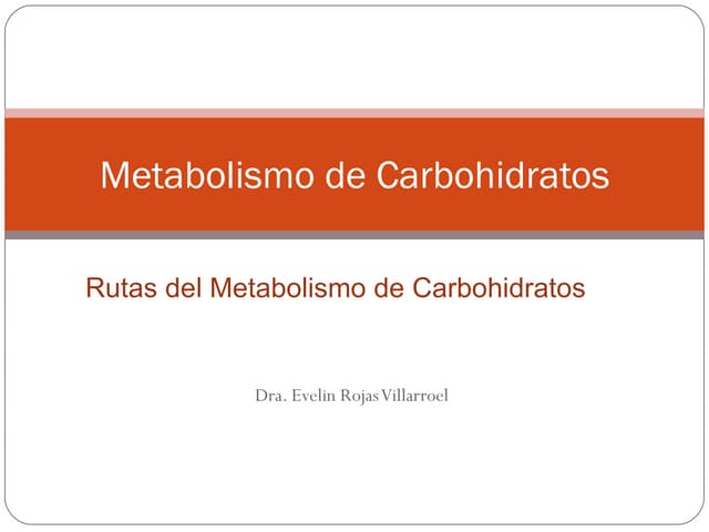 Rutas del metabolismo carbohidratos