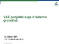 Rimantas Vaitkus, Visagino atominės elektrinės generalinis direktorius, „VAE projekto eiga ir tiekimo grandinė“