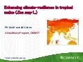 S 1.2 Enhancing climate-resilience in tropical maize (Zea may L.)