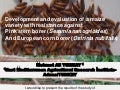 S2.5 Development and evaluation of a maize variety with resistance against