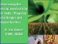 S3.3 Improving the maize productivity in India: Progress,