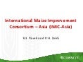 S8.3 International Maize Improvement Consortium – Asia (IMIC-Asia)