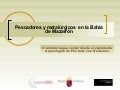 Pescadores y Metalúrgicos en la bahía de Mazarrón