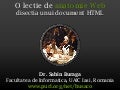 O lectie de anatomie Web. Disectia unui document HTML