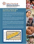 Safer Chemicals - Healthy Families  