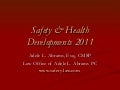 Safety And Health Leg &amp; Reg 2011   Asse Pdc Iv