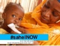 #SahelNOW summary 