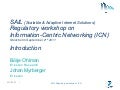 Introduction to SAIL regulatory workshop 110902