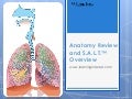 Anatomy Review and S.A.L.T.™ OveRview