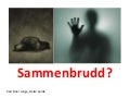 Sammenbrudd eller om å møte veggen