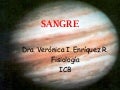 Sangre Completa1.