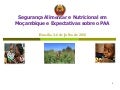 PAA Africa Programme Inception Workshop - Mozambique presentation