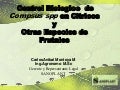 Sanoplant   presentation picudo