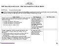 Sap Access  Risks Procedures