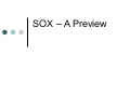 Sarbanes-Oxley Act (SOX)