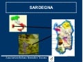 Sardegna Lezione AIS Secondo livello
