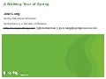 A Walking Tour of (almost) all of Springdom 