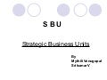 Sb Us[1]