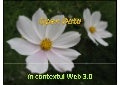 Open Data in contextul Web 3.0