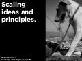 Scaling ideas and principles