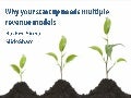 Why your startup needs multiple revenue models