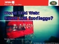 World Wild Web: siamo tutti fuorilegge (SMAU Bologna)