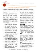 Scheda progetto Digital Bridge - Camerun