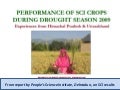 0948 Performance of SCI Crops during Drought Season 2009