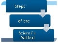 Scientific Method Powerpoint