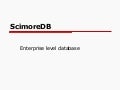 ScimoreDB - Enterprise level database