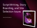 Script writing, story boarding, and site selection issues