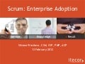 Scrum: Enterprise Adoption