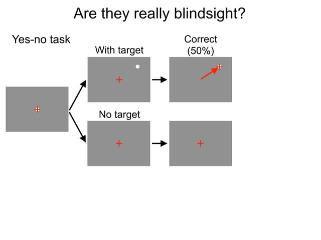 信号検出理論の解説 (Singla detection theory primer)