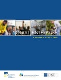 Social Enterprise  - Portrait of the Field