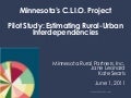 Minnesota’s C.L.I.O. Project: Pilot Study: Estimating Rural-Urban Interdependencies