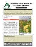 Season Extension Techniques for Market Gardeners