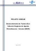 Sebrae Pe Geor T1 2007 Turismo Caruaru