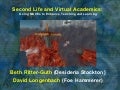 Second Life and Virtual Academics