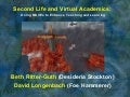 Second Life and Virtual Academics