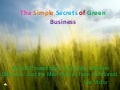 Secrets of Green Business
