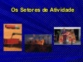 Sectoresactividadeeconmica 100928165824-phpapp01