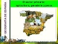Sector primario en España