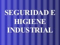Seg. Ind. Salud Ocupacional